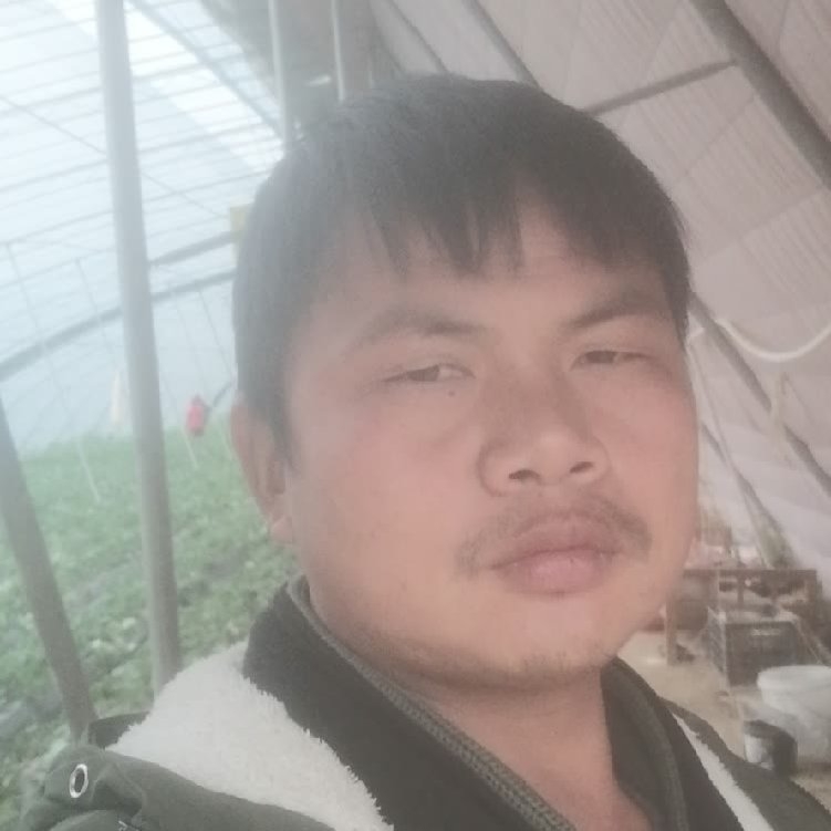 孤狼‘的第一张照片--赣州上门女婿服务网